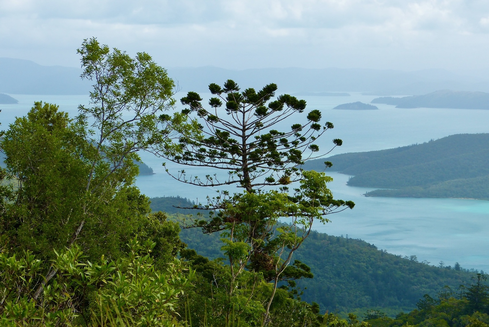 Auf dem Gipfel Whitsunday